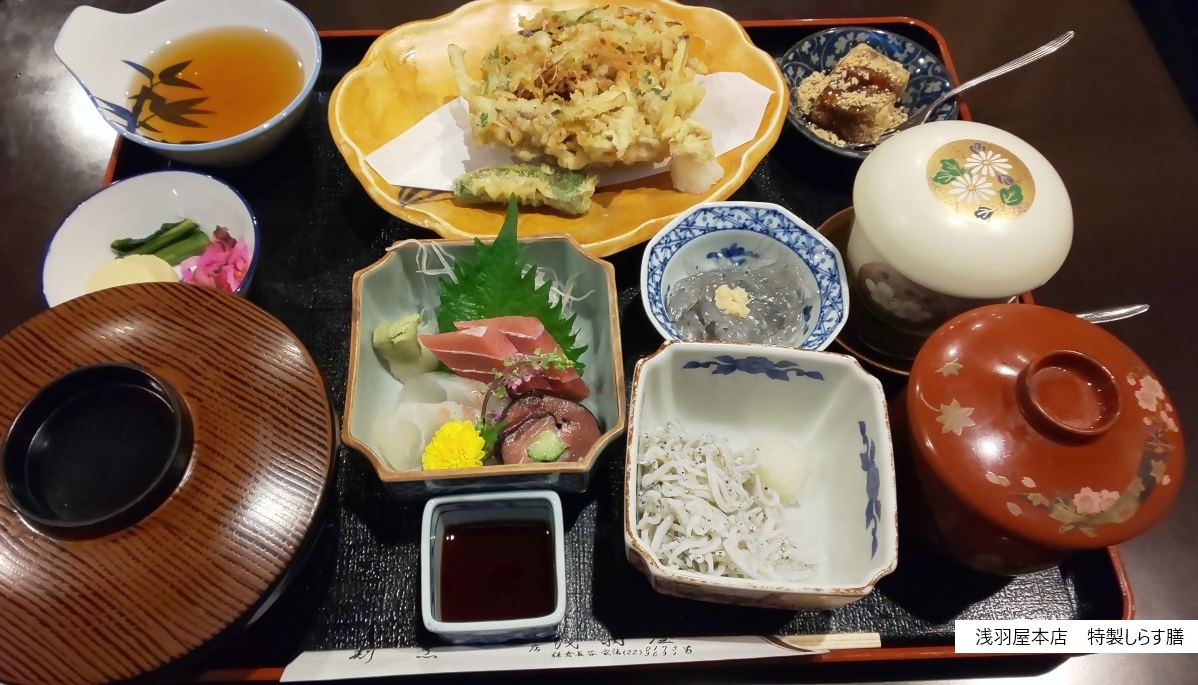 鎌倉の海の幸　しらす【食のコラム】